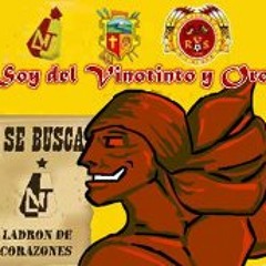 Soy Del VinotintoyOro