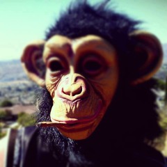 LucaBomboclatVenturi.