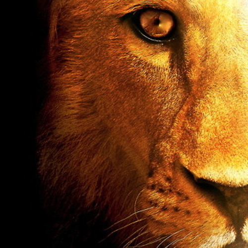 DJ_AD (leo the lion)’s avatar