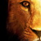 DJ_AD (leo the lion)