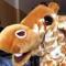 Zingr