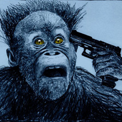 Kenny Vandierendonck