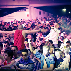 Dani Crítical Breaks