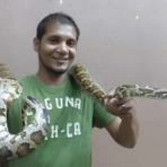 Hassan Nasiph