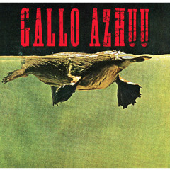 09. Gallo Azhuu - Hippie rico