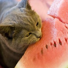 DarkWatermelonRises