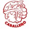 Caballeroprehispanico