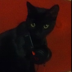 Jacopss