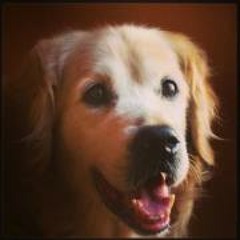 Daniel Chávez Klinge