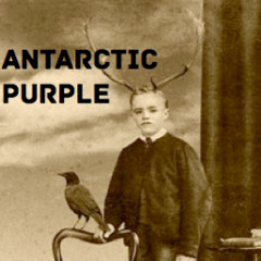 Antarctic Purple
