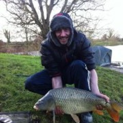 Martin Turtle Goodey