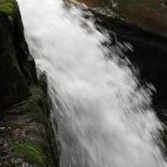 Shannon Leigh Edwards