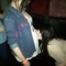 ABBIE LLEWELLYN