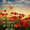 Mohamedlahlou226