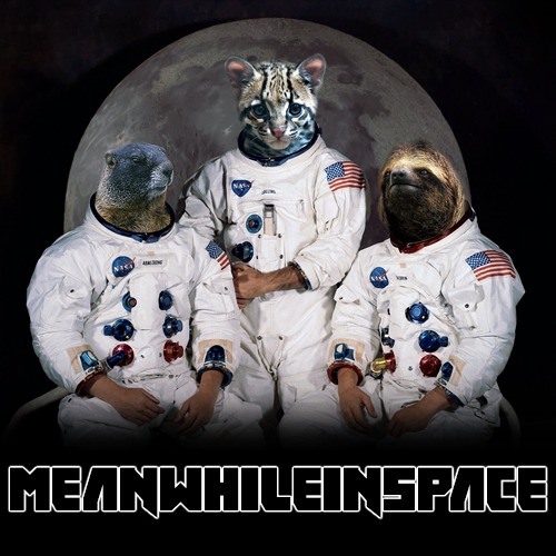 I Can't Stand For This Chaos