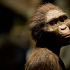 Ramon Barranquero Jimenez