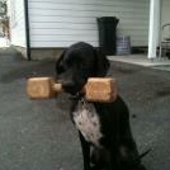 Kjell ørjan Storvoll