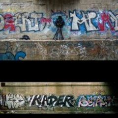 Astronaut-Lawyer Silva