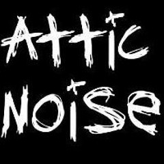Attic Noise