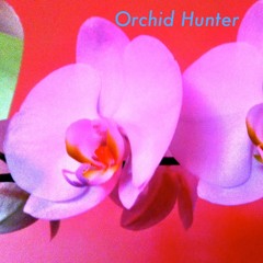 Orchid Hunter