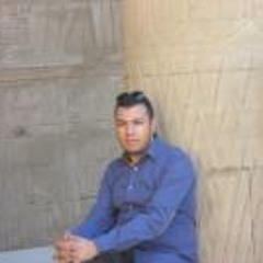 Hosam Eldin Ahmed