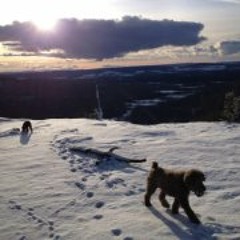 misc good times ahead