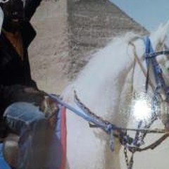 traoremoussa663@gmail.com