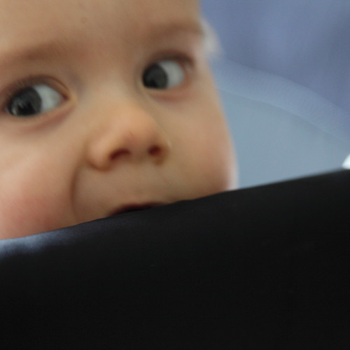 Les Petits Papiers de Serge Gainsbourg