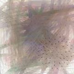 About Worm 耳孢蟲