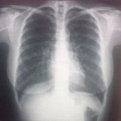 RominaLucrezia Marchesa P