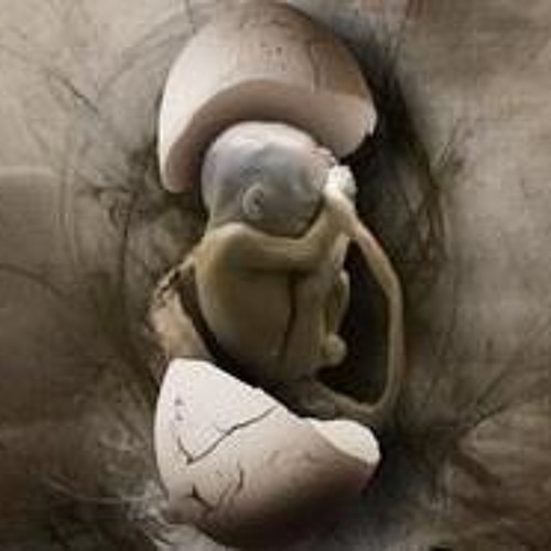 Breakcore/Junglecore