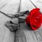 user360057059
