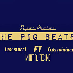 Stream The Pig Beats - No Ni Merga (Original Mix )Minimal edit . by THE PIG  BEATS | Listen online for free on SoundCloud