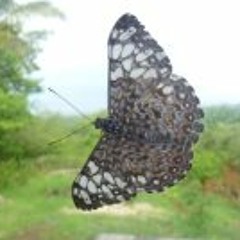 Shakti Silke de Sousa