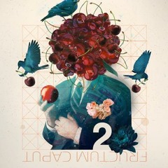 Fernanda Cardoso Fonseca