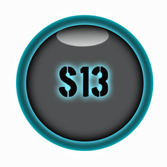 S 13