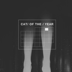 Cat of the Year