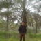 ali heidari
