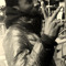 David Mwila