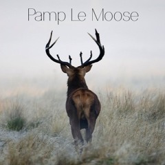 Pamp Le Moose