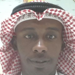 Waelshiko39tamerg540