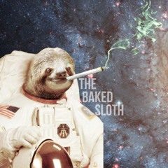The Baked Sloth