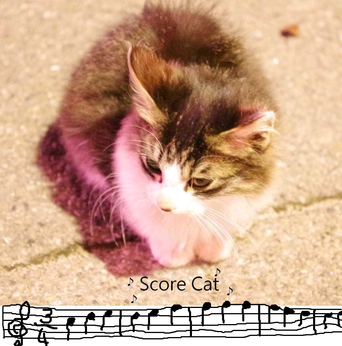 Score Cat podcast artwork