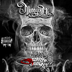 NossyvoelKinto Elemento