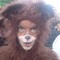 Witzebär