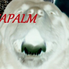 napalm r