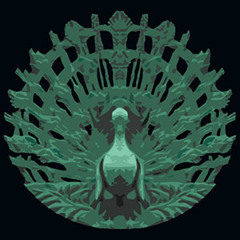 Peacock Window Recordings