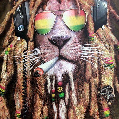 Sounds from sabato morning