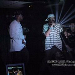 What's a Dog to a Lion