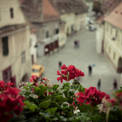 هل كان لزماً علي